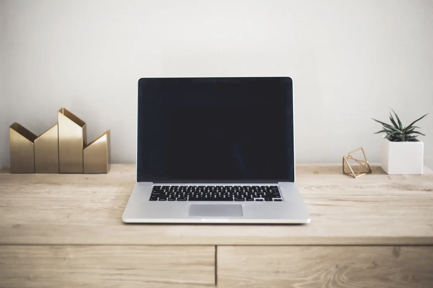 Laptop on a wooden table beside a cup and a small plant